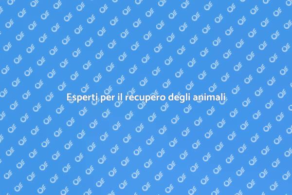 Trova il tuo animale con un esperto