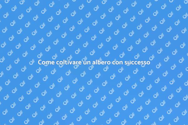 Coltivare un albero: guida pratica