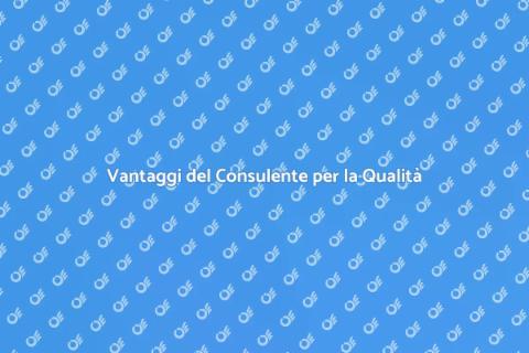 Consulente Aziendale per la Qualità
