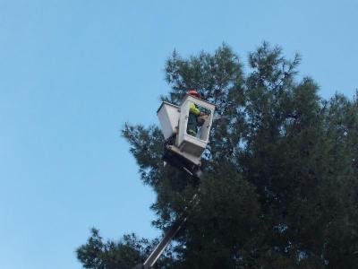 Sky Green Srl  - Foto 9