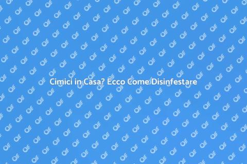 Disinfestare Cimici: Guida Pratica