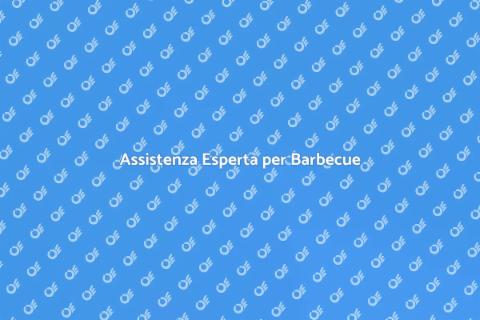 Supporto Tecnico per Barbecue