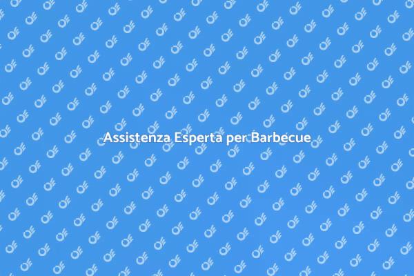 Manutenzione Barbecue per Grigliate Perfette