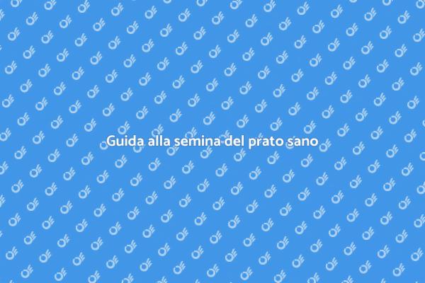 Creare un prato rigoglioso e sano