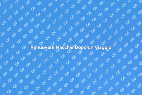 Pulizia Veicolo Dopo un Lungo Viaggio