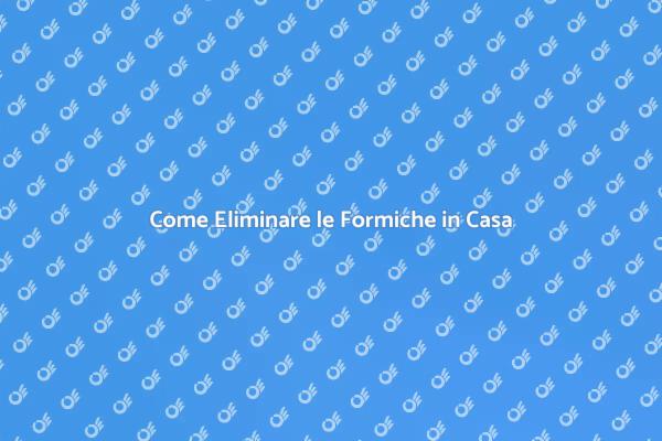 Disinfestazione delle Formiche: Tecniche Utili