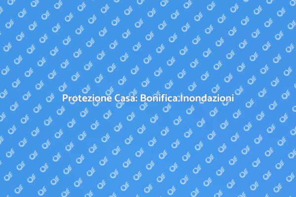 Bonifica da Inondazioni: Tutto Quello che Devi Sapere
