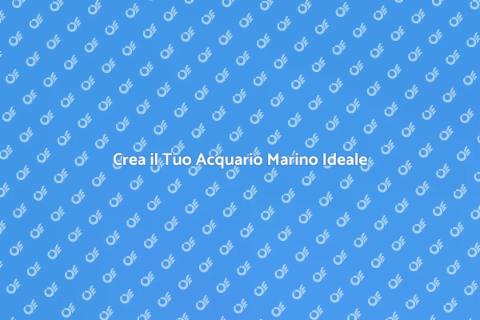 Installazione Acquario Marino Facile