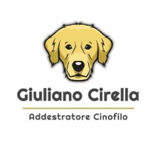 Giuliano Cirella Addestratore Cinofilo - Foto 1