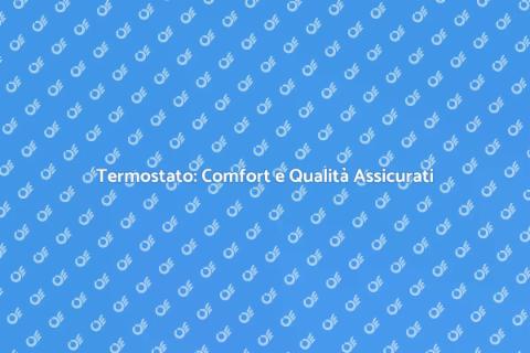 Termostato con Sonda di Alta Qualità