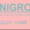 Lunigronde 