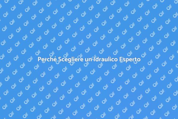 Idraulico: Fondamentale per la Casa
