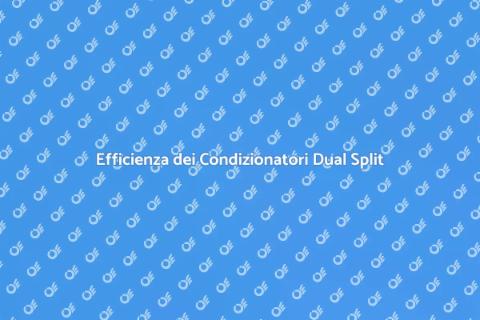 Manutenzione Condizionatori Dual Split