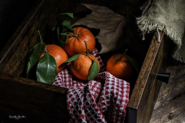 Rosalia Ricotta - Foto 13