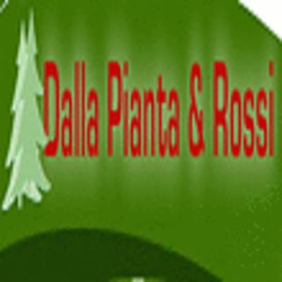 Dalla Pianta & Rossi  - Foto 1