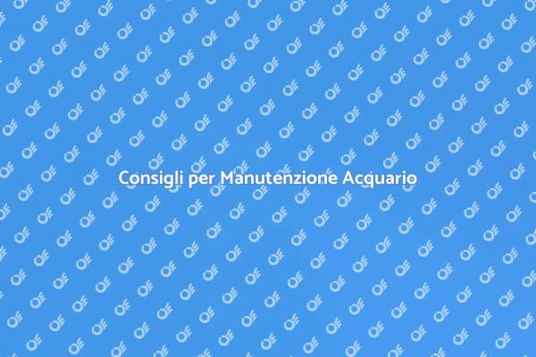 Manutenzione Acquario: Guida Pratica