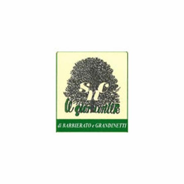 Il Giardiniere Snc di Barbierato Giordano e Grandinetti Federico  - Foto 1