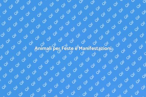Affitto Animali per Manifestazioni