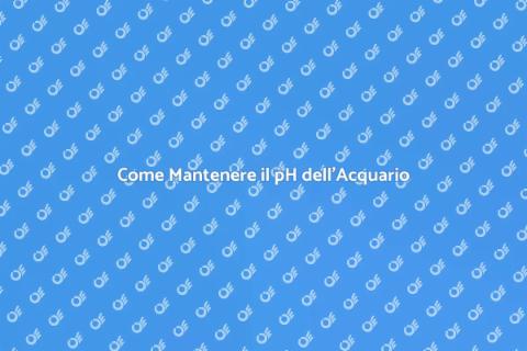 Testare il pH dell'Acqua dell'Acquario