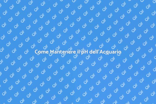 Testare il pH dell'Acqua: Guida Essenziale