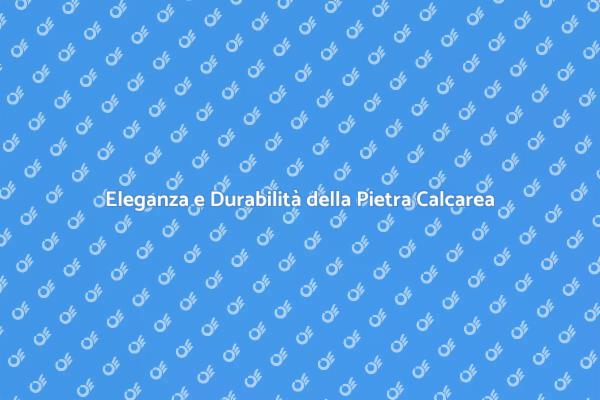 Investi in un Pavimento Elegante