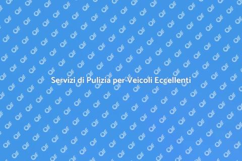 Pulizia Veicoli: Mantieni il Tuo Mezzo