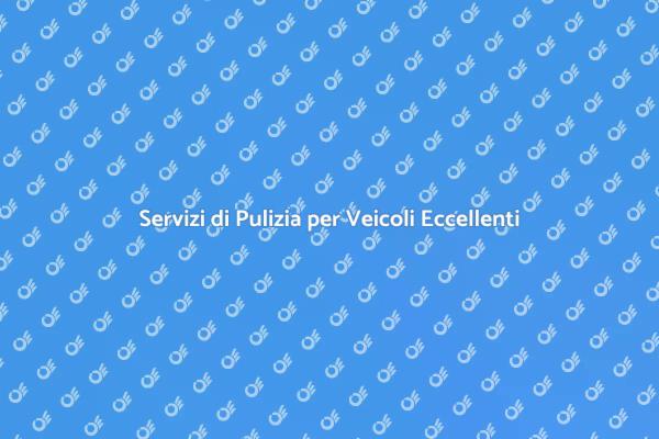 Importanza della Pulizia dei Veicoli