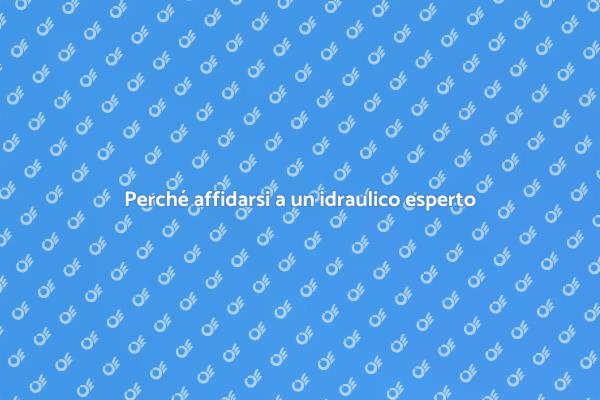 Risolvi i problemi idraulici con esperti