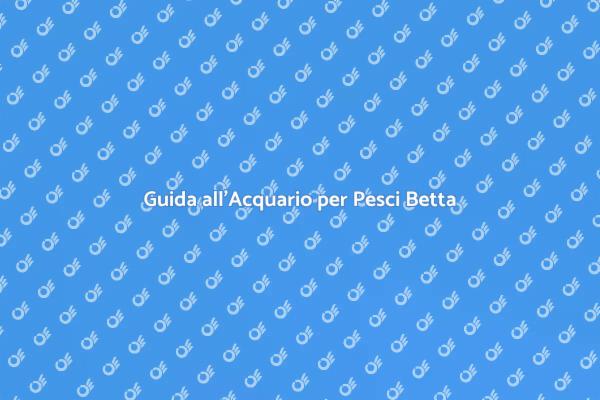 Acquario Ottimale per Betta Splendens