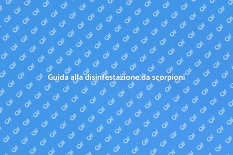 Disinfestare casa dagli scorpioni