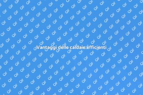 Caldaia ad alta efficienza energetica