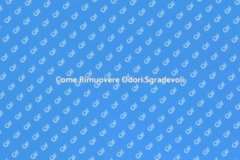 Eliminare Odori Sgradevoli in Casa