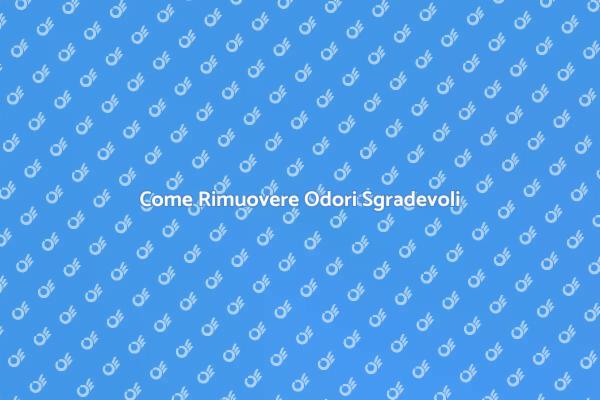 Rimuovi Odori Sgradevoli da Casa
