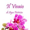 Il Vivaio di Agus Patrizia 