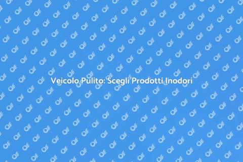Pulizia Veicolo con Prodotti Inodori