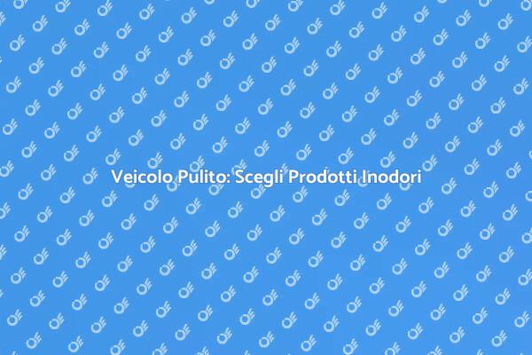 Pulizia Ecologica del Veicolo
