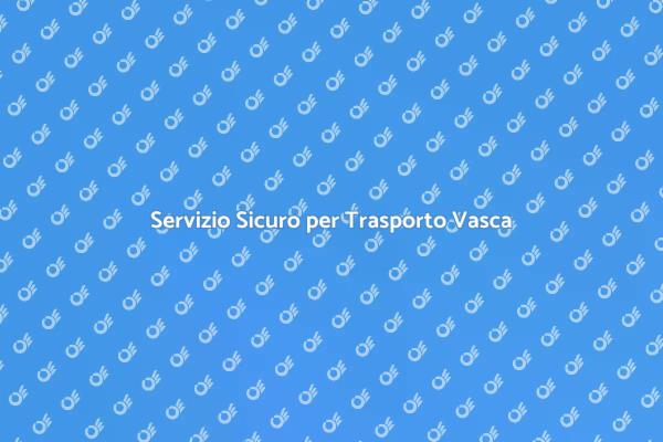 Trasporto Vasca: Ristrutturazioni Sicure
