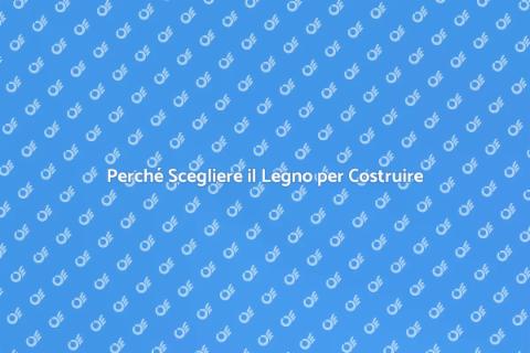 Costruzioni Edili in Legno: Vantaggi