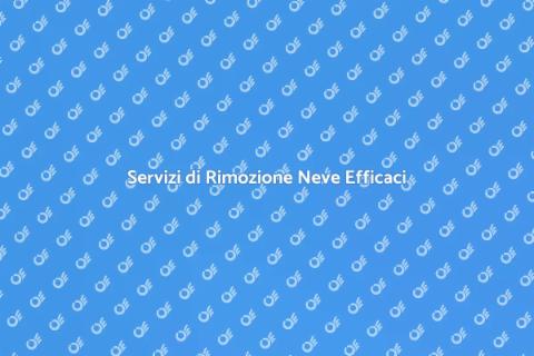 Rimozione Neve per Sicurezza Invernale