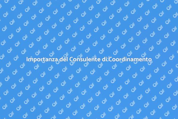 Il Ruolo Cruciale del Consulente