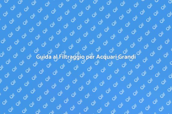 Scegli il Filtraggio Perfetto per il Tuo Acquario