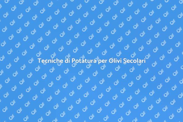 Potatura Olivi: Tradizione e Tecnica