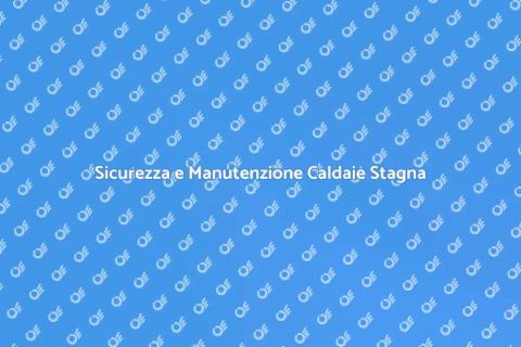 Manutenzione Caldaie a Camera Stagna