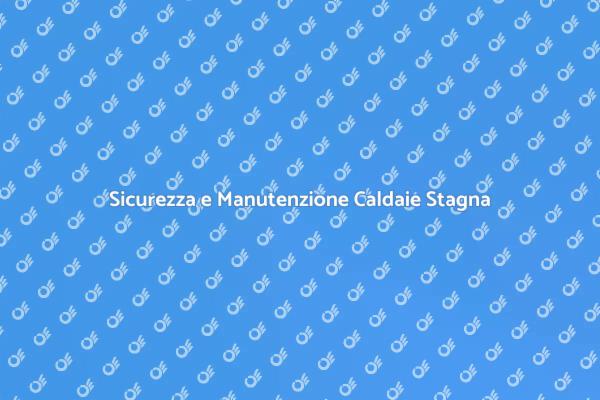 Guida alla Manutenzione delle Caldaie