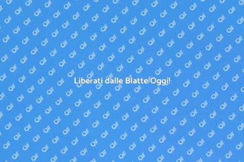Controllo Blatte: Servizio Efficace