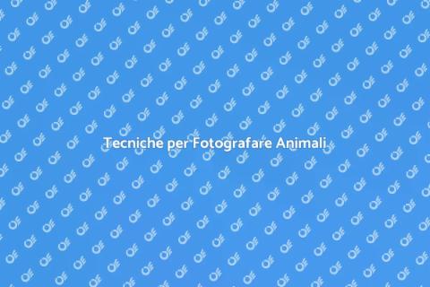 Fotografare Animali: Magia e Tecniche