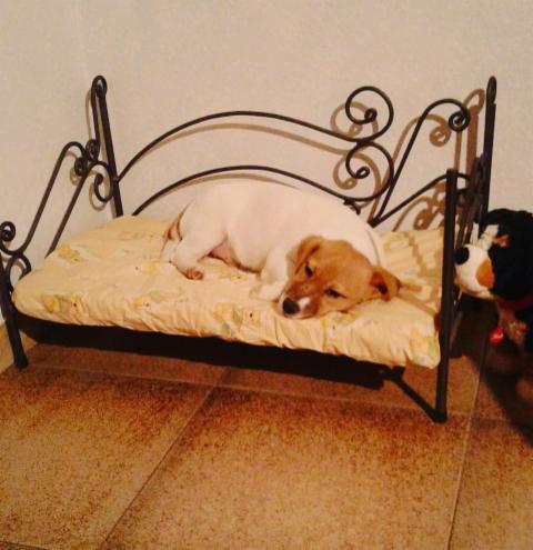 Morisfer - Foto 2