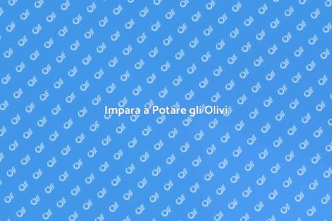 Corso di Potatura per Olivi
