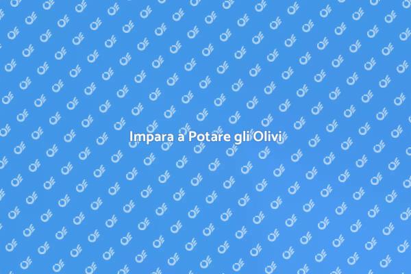 Padroneggia la Potatura degli Olivi