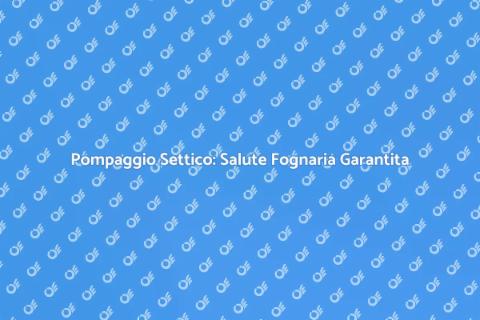 Pompaggio Settico: Servizio Indispensabile